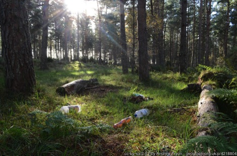 Forest with discarded plastic bottles